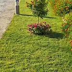 Апартаменты Paradise *